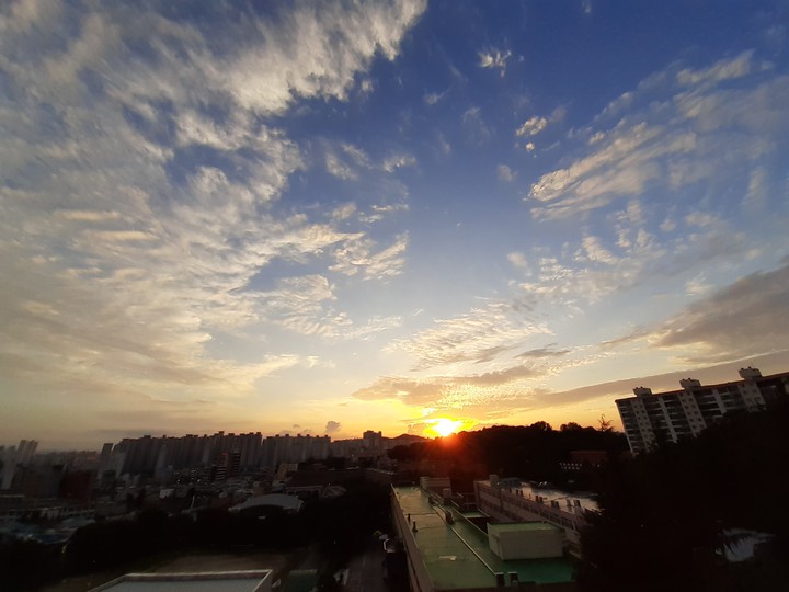 저녁노울ㅠㅠ