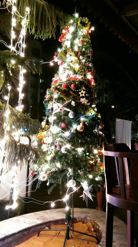Merry Christmas