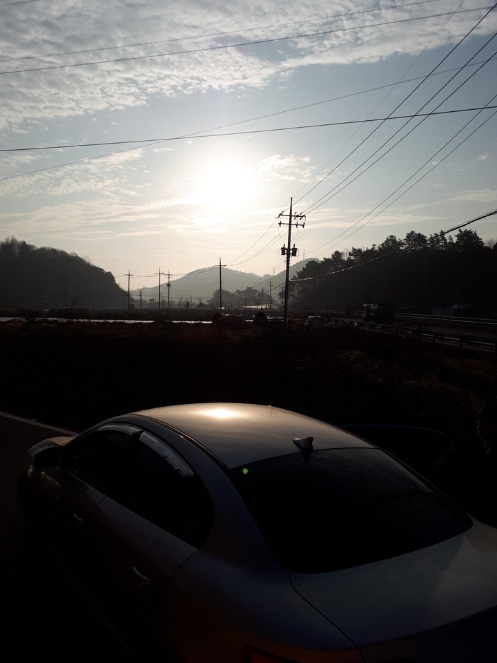 Morning