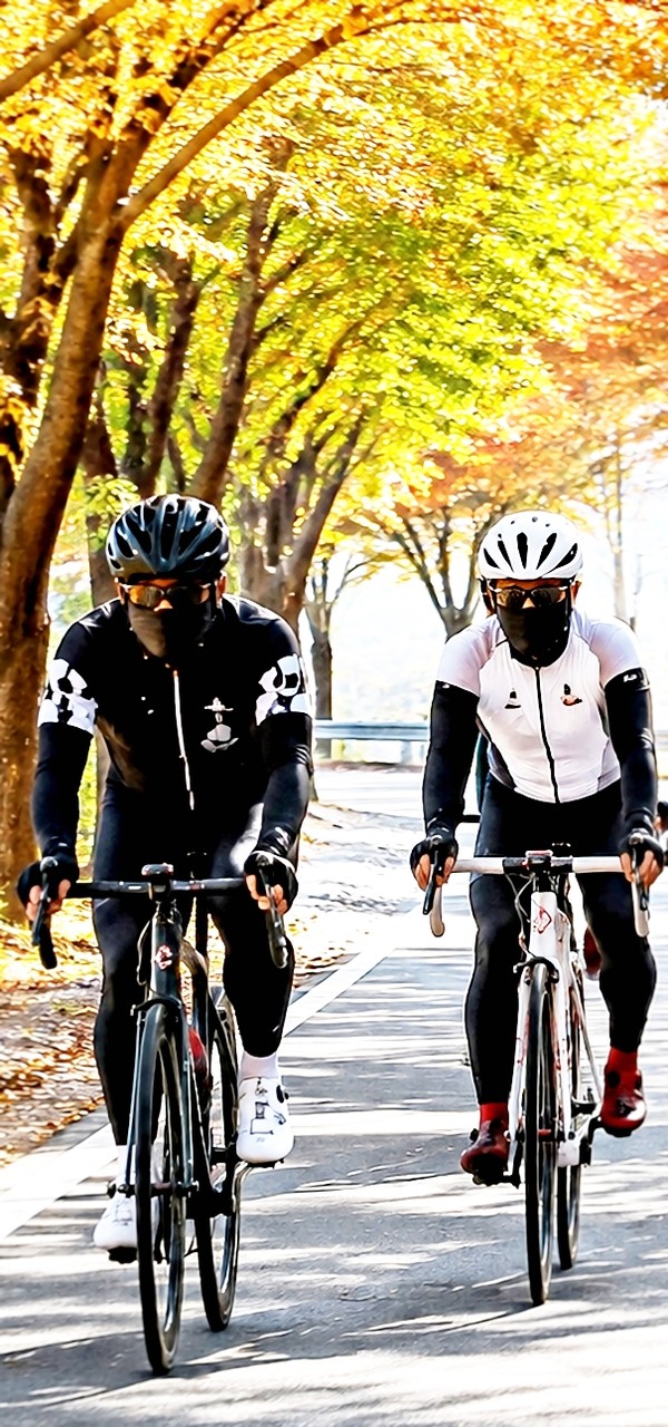 tapety bicycle, bycycle