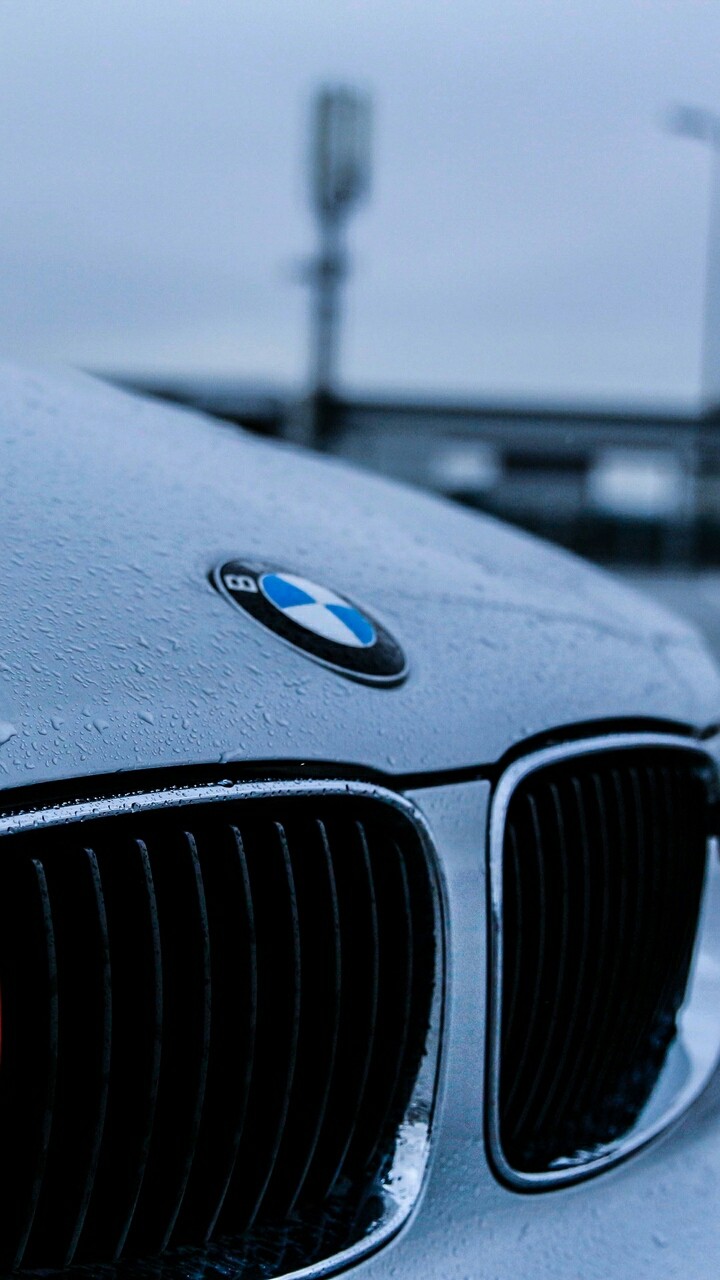 Wallpaper