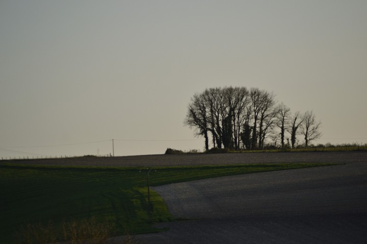 nature