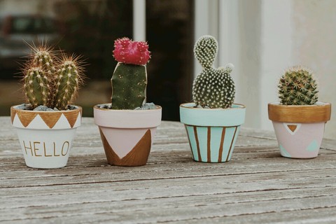 ταπετσαρίες cactus, ceramic