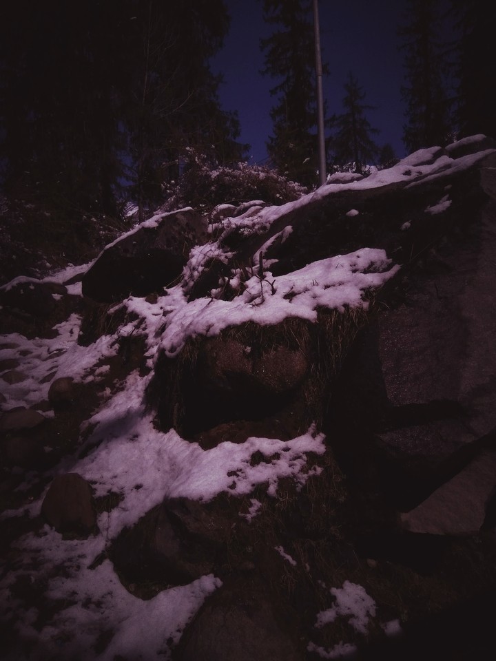 Manali