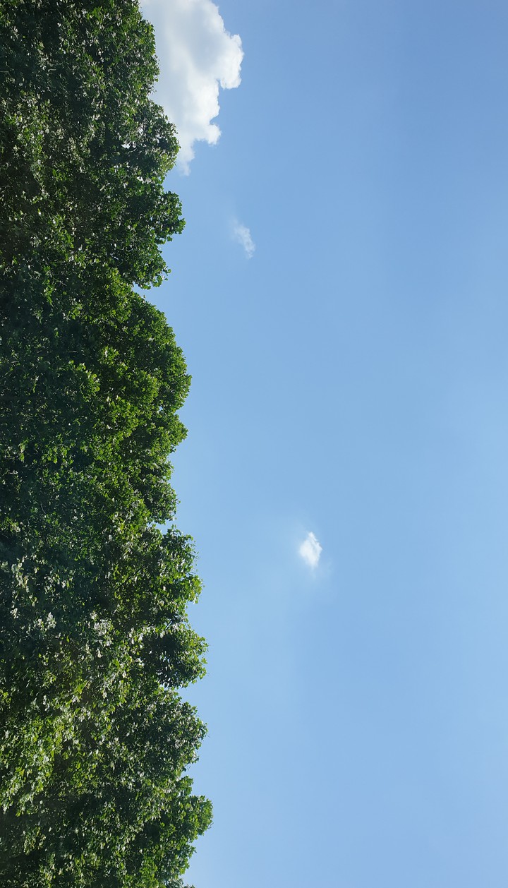 sky