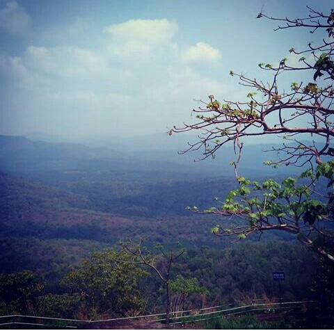 nature