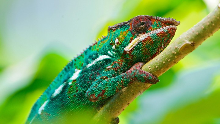 Colorful
