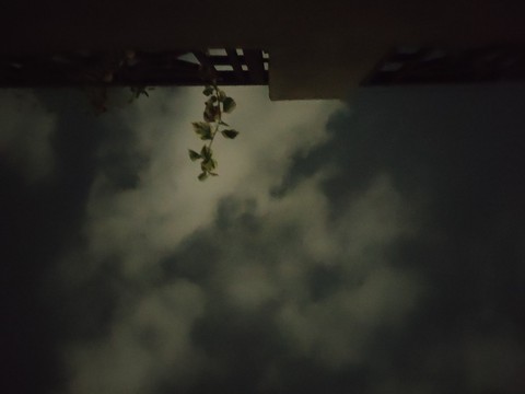 night sky