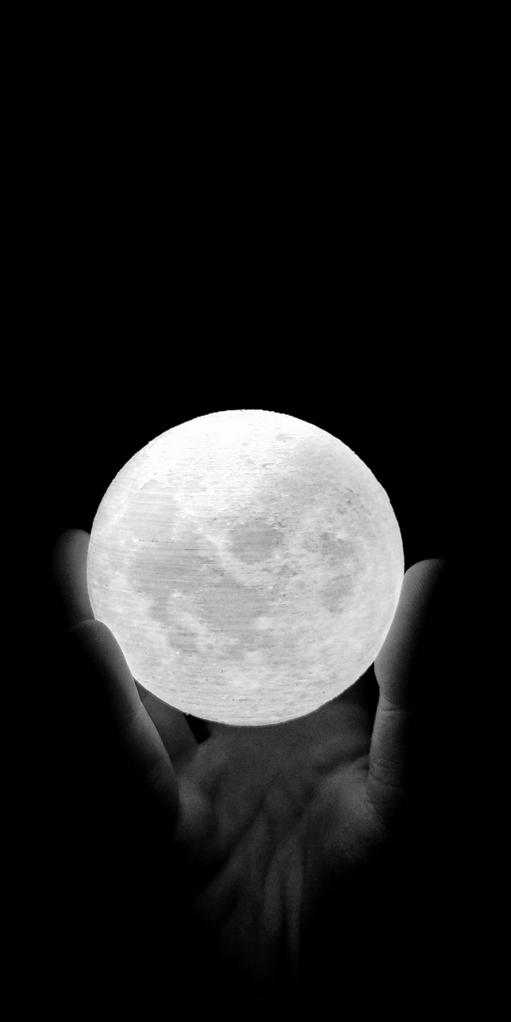 Holding the Moon