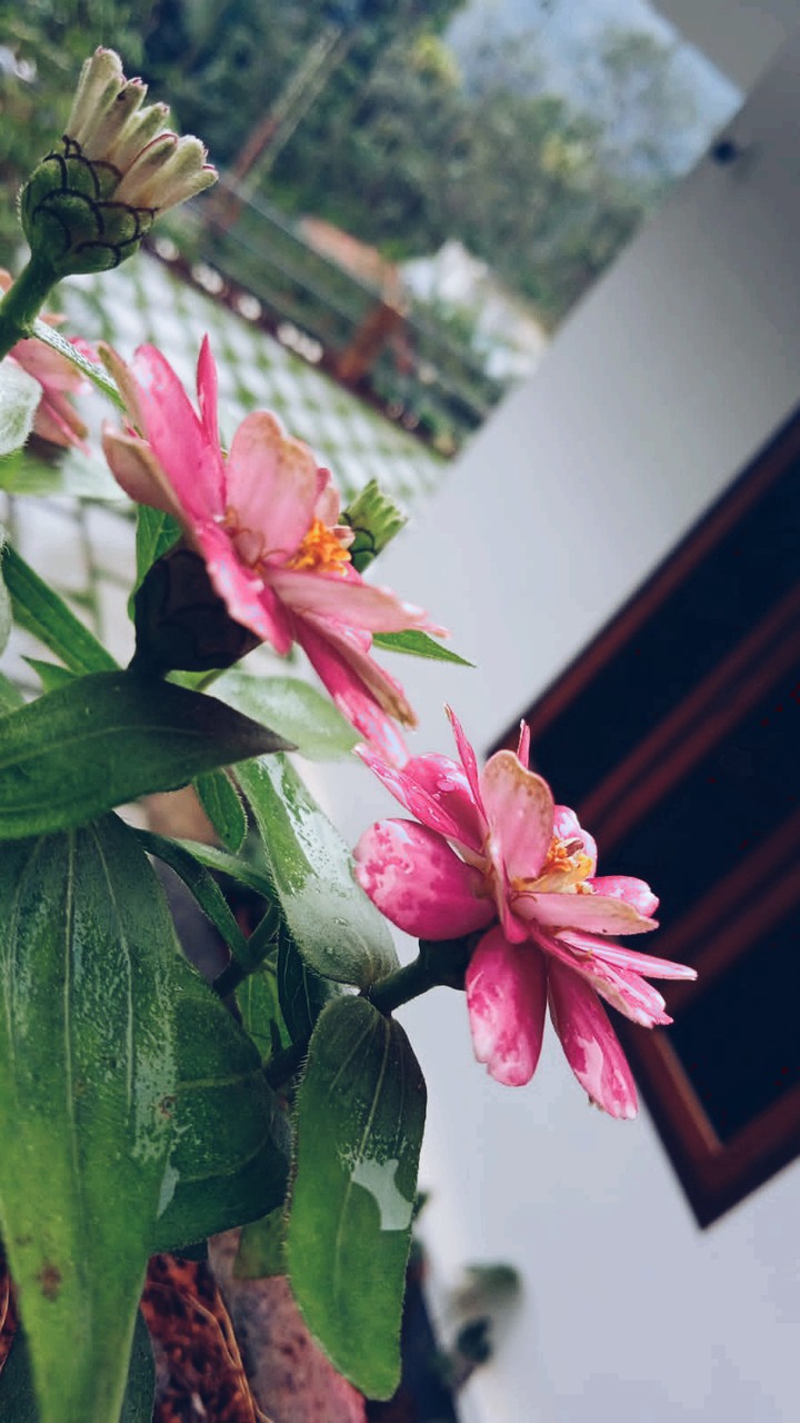 new one!