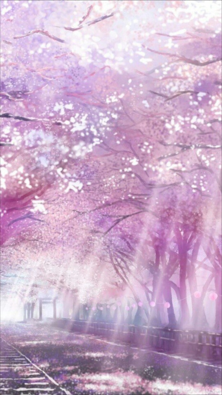 Japanese garden