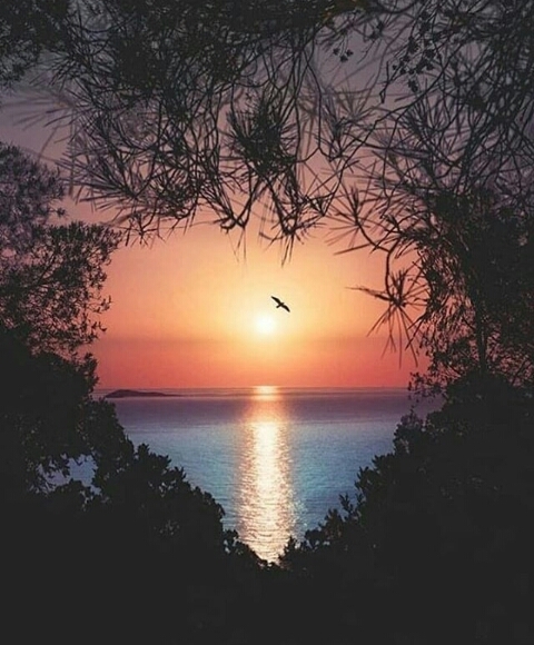 wow amazing and beautiful