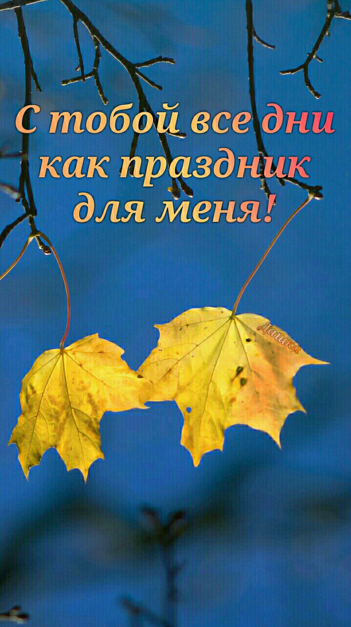 желmые лисmья