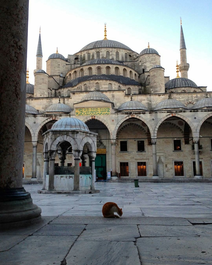 masjid