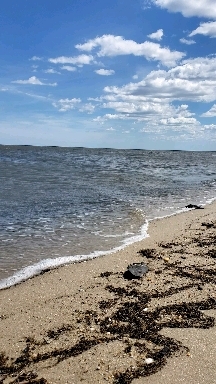 Forgotten Beach