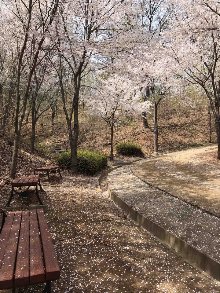 spring