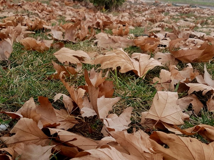 autumn
