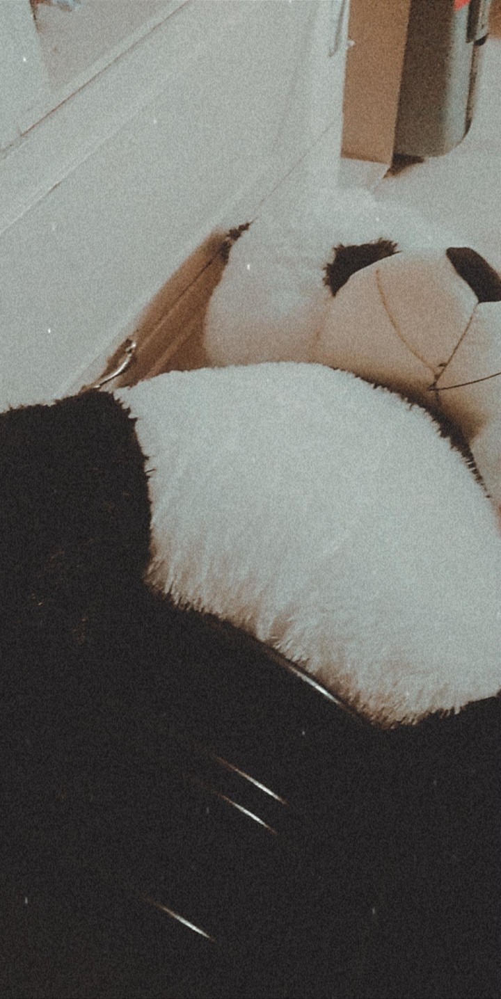 panda