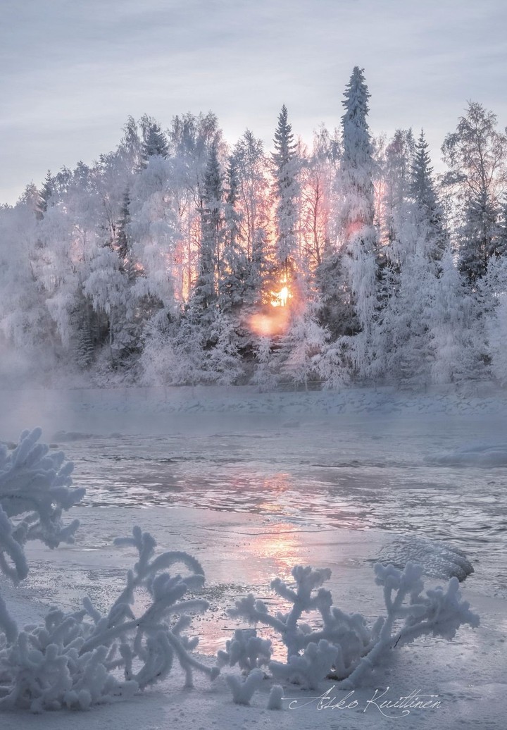 Winter. Zima