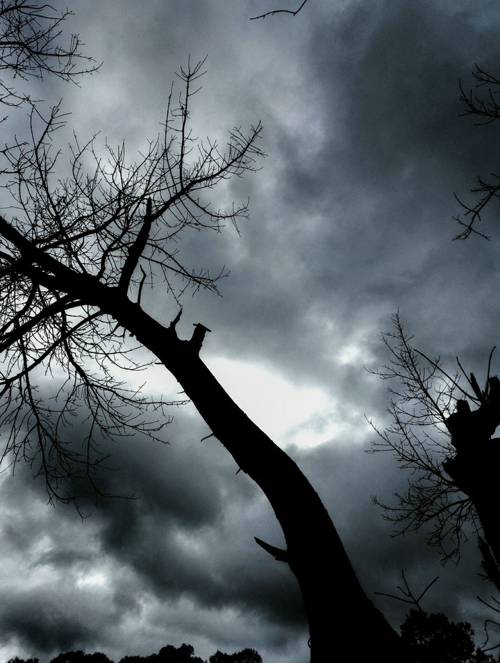 Dark