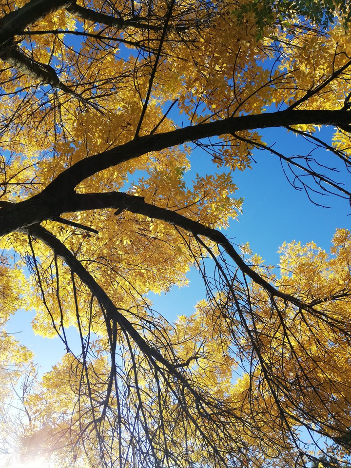 Autumn