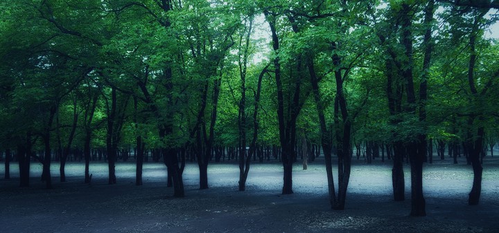 scenic beauty 1