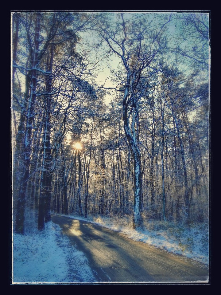 winter is back
