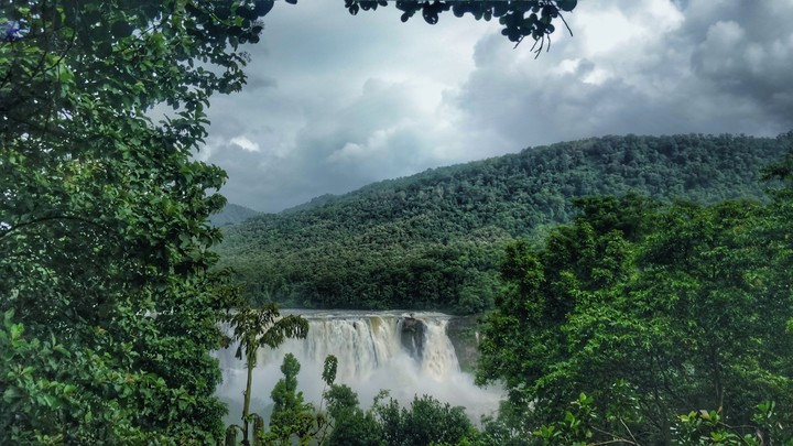 Beauty in Nature