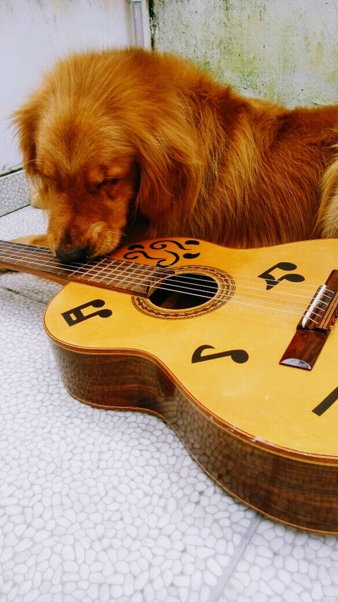 i love guitar