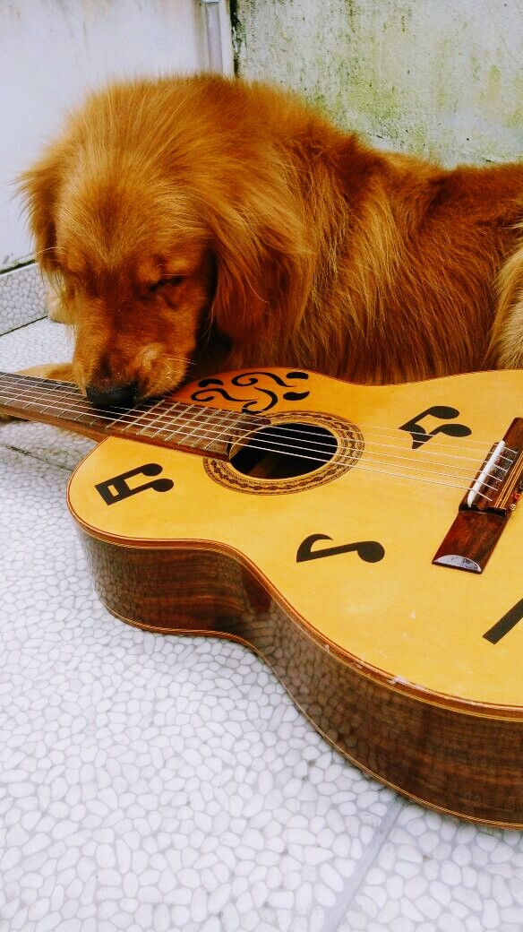 i love guitar 