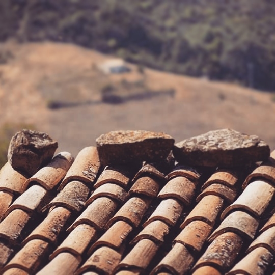 roof