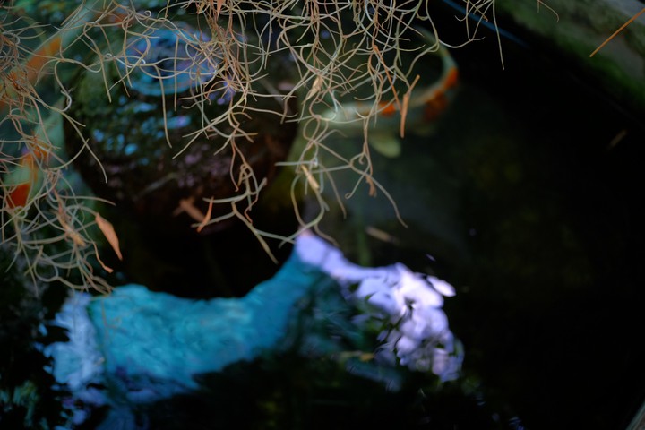 water