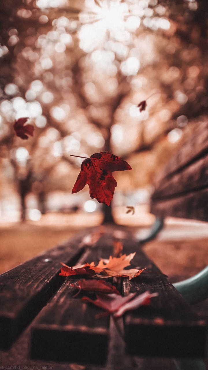 Autumn