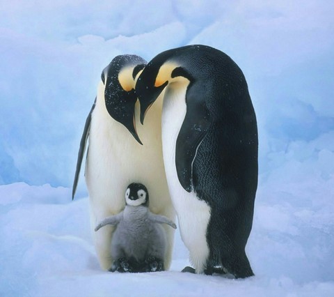 cute^^