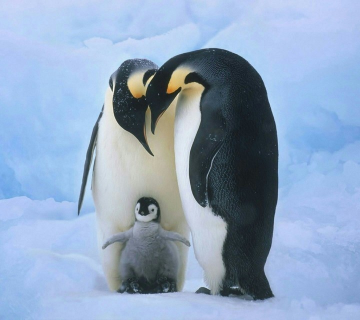 cute^^
