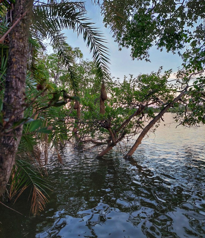 Kafue River