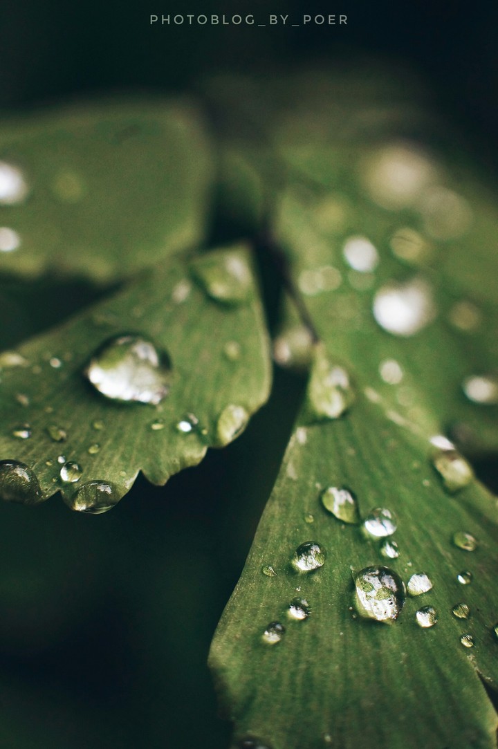 The Morning When The Rain Stopped