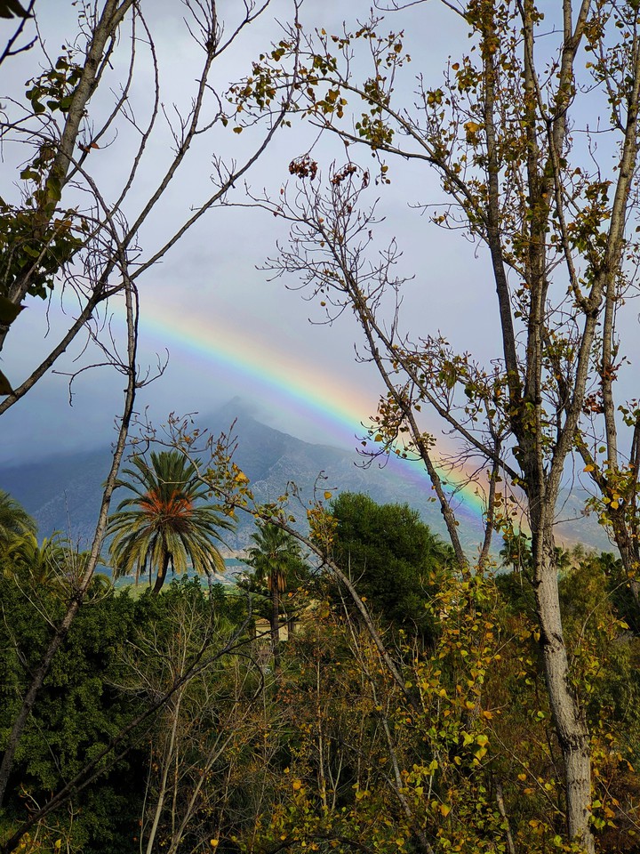 Rainbow in Marbella