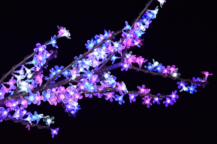 Lighted tree