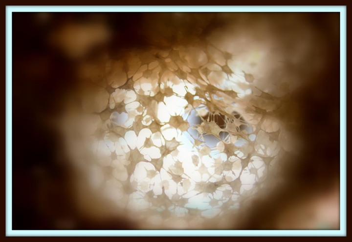 what lies within