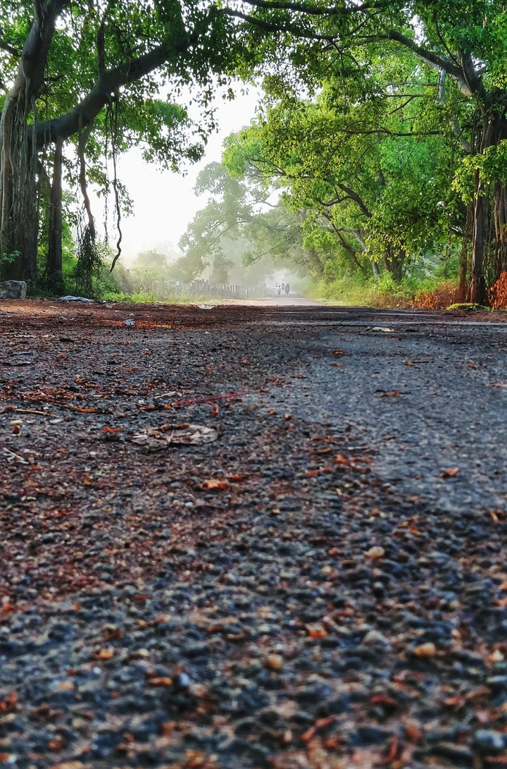 road to heaven