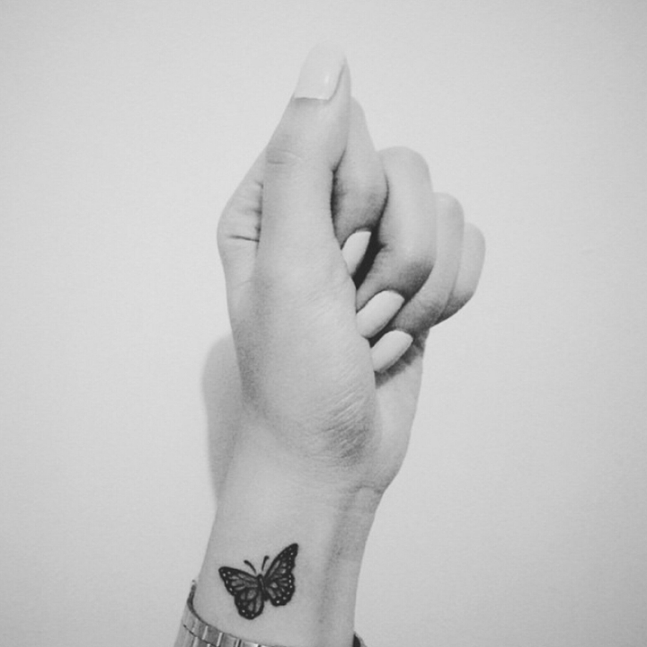 butterfly 2