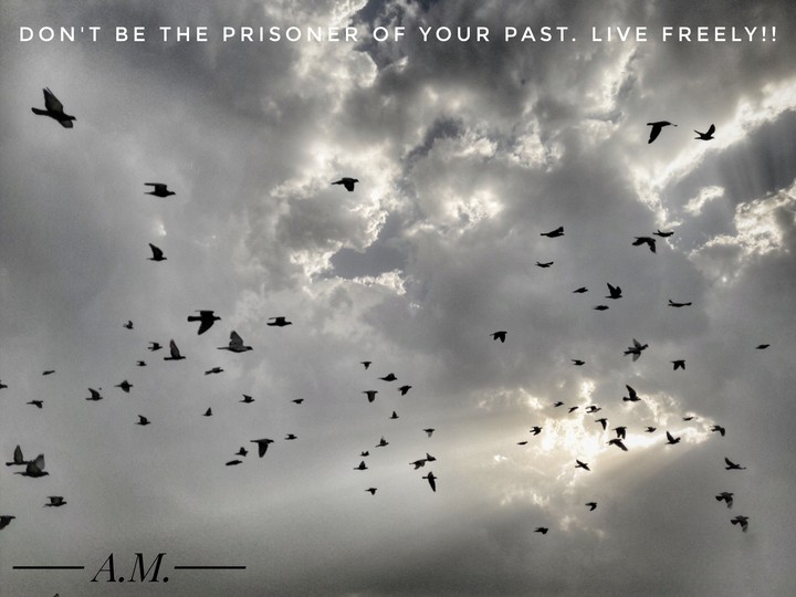 live freely