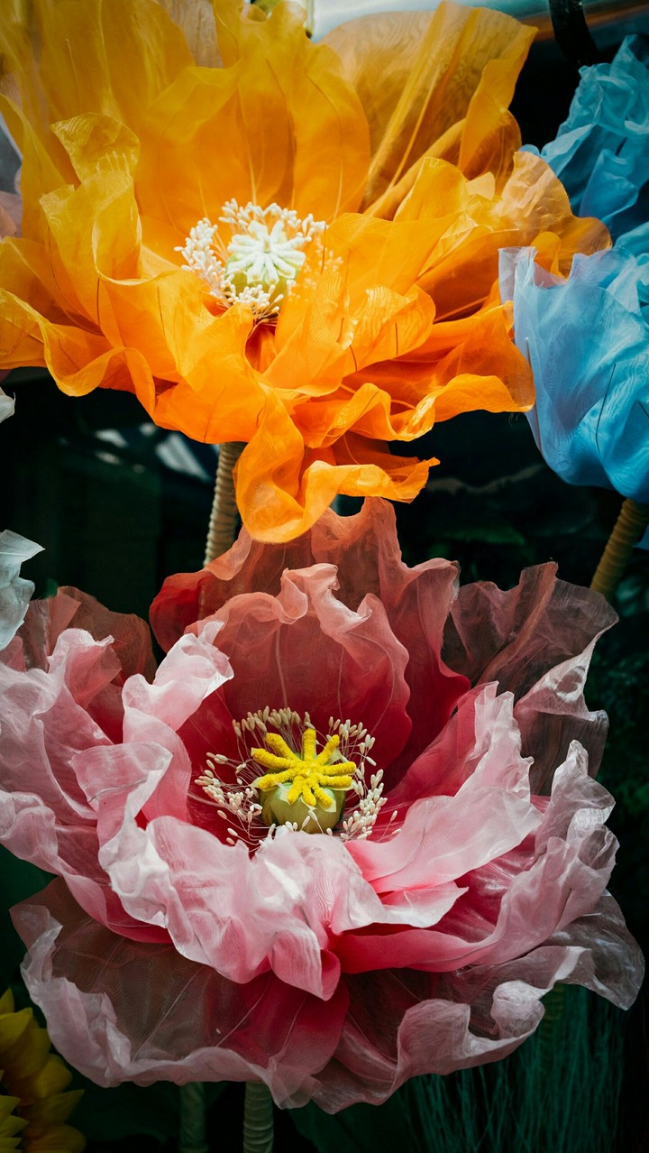colorful