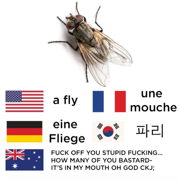 Meme