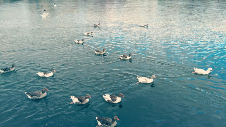 Beautiful day