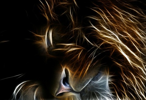 lio dreams