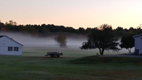 morning fog
