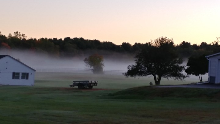 morning fog