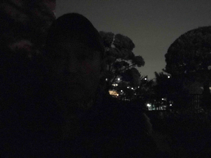 night